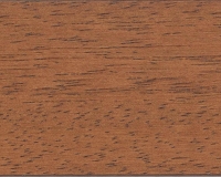 Abachi Goldene Eiche